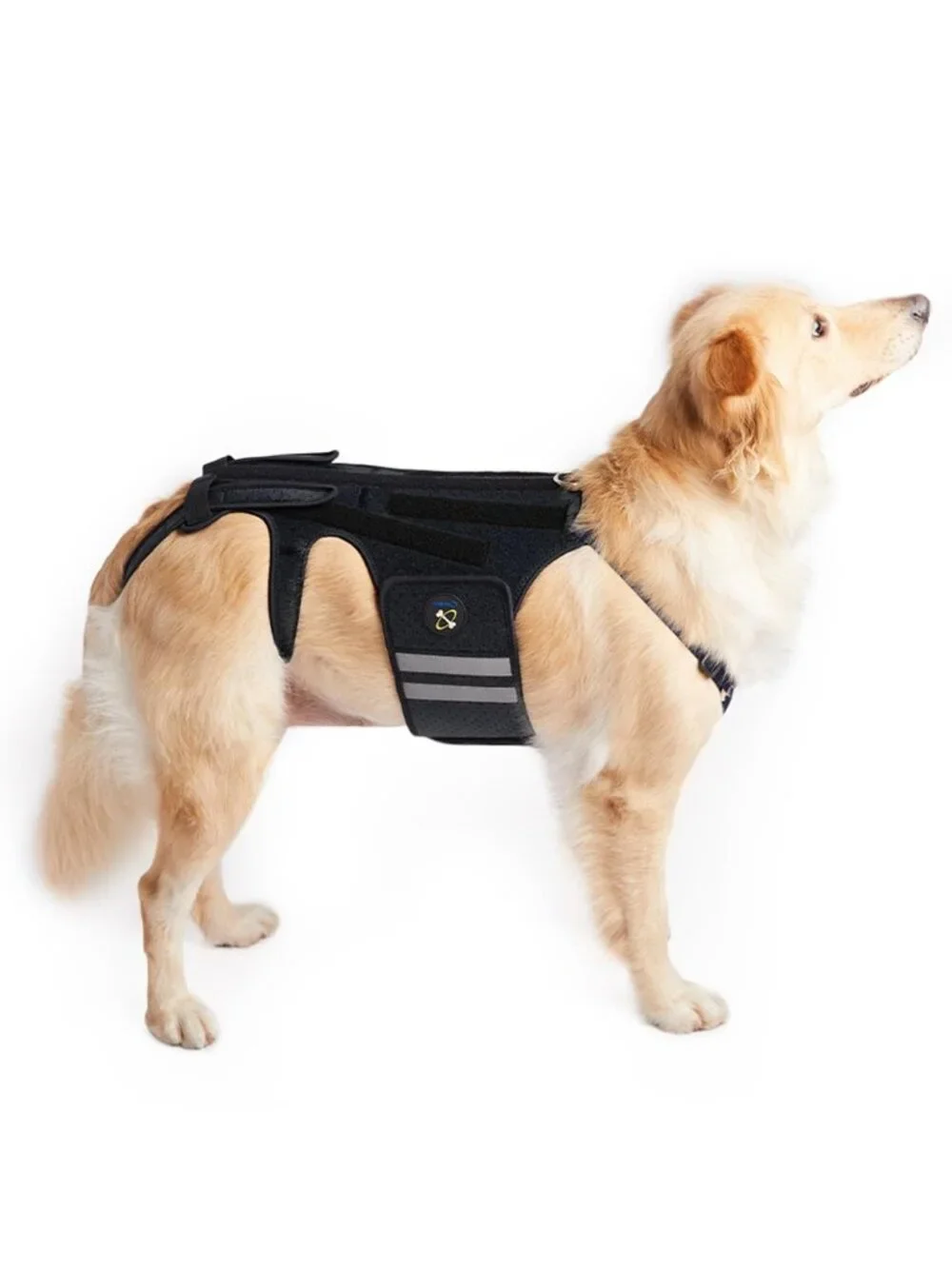 Coodeo Large Dog Back Brace for Dogs Arthritis, Pet Back Brace for IVDD, Protect